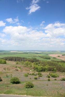 Looking out over Blackdown