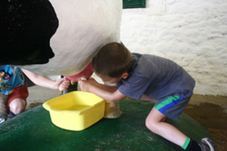 Milking the plastic cow!
