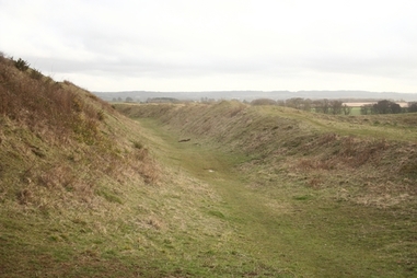 Iron Age Fort at Badbury Rings
