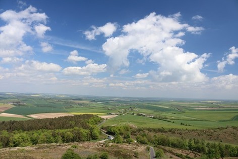 View from the top of Hardy's Monument