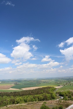 View from Hardy's Monument